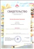 свидетельство 
об обобщении педагогического опыта
июль 2017г.