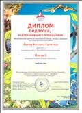 Диплом педагога
Международный творческий экологический конкурс "За руку с природой" 2 место
апрель 2017г.